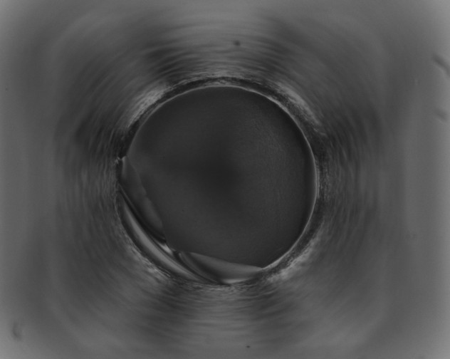 X0000093130977200709261344