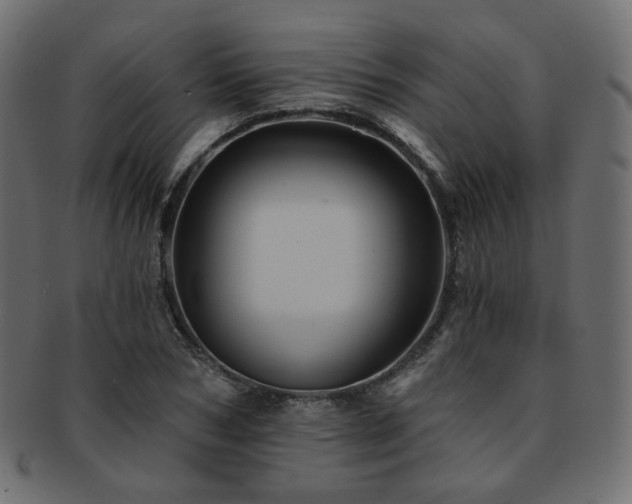 X0000093130978200709261344