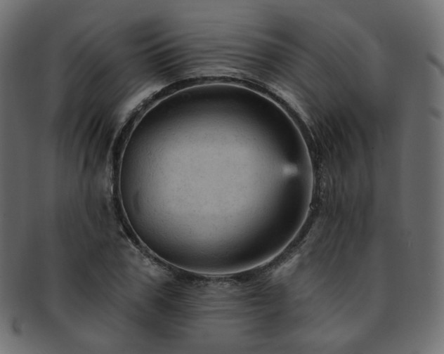 X0000093130979200709261344