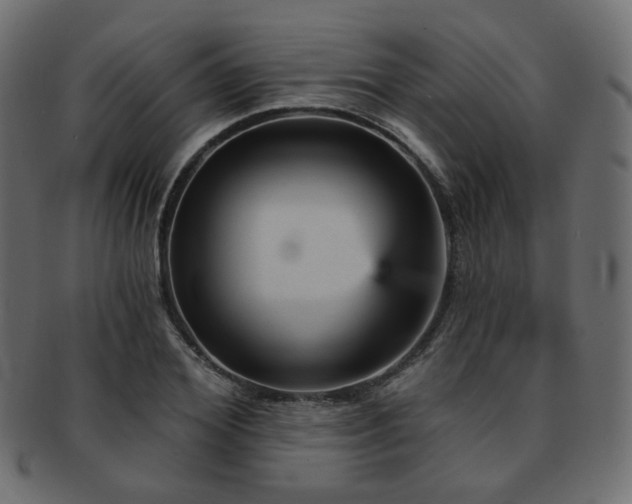 X0000093130980200709261344