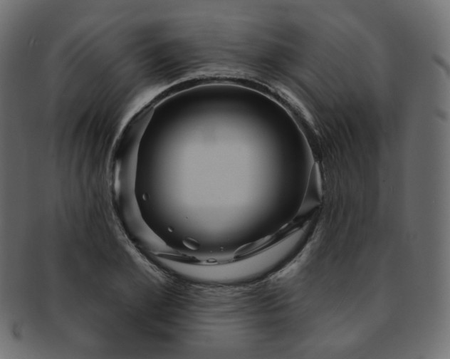 X0000093130981200709261344