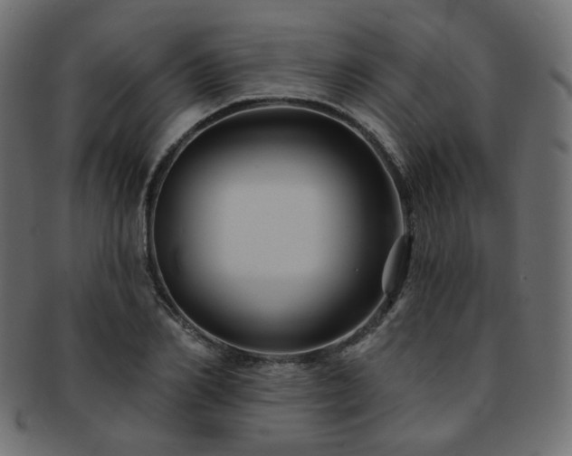 X0000093130982200709261344