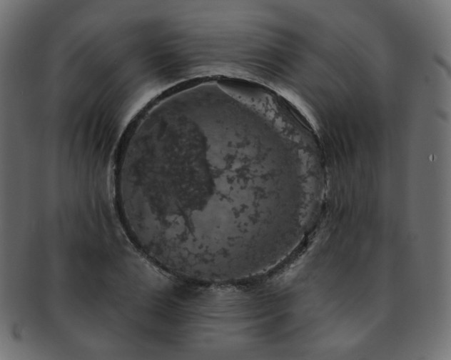 X0000093130983200709261344