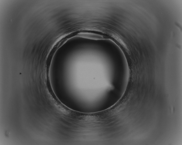 X0000093130984200709261344