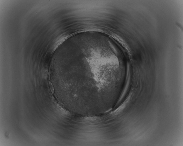 X0000093130985200709261344