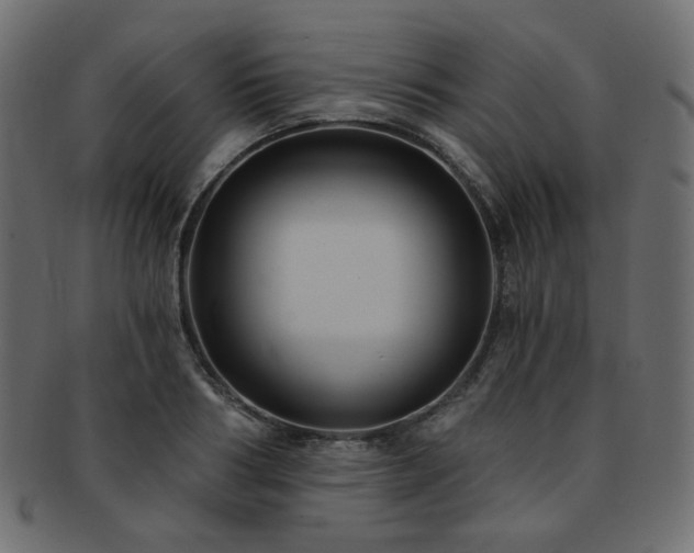X0000093130986200709261344