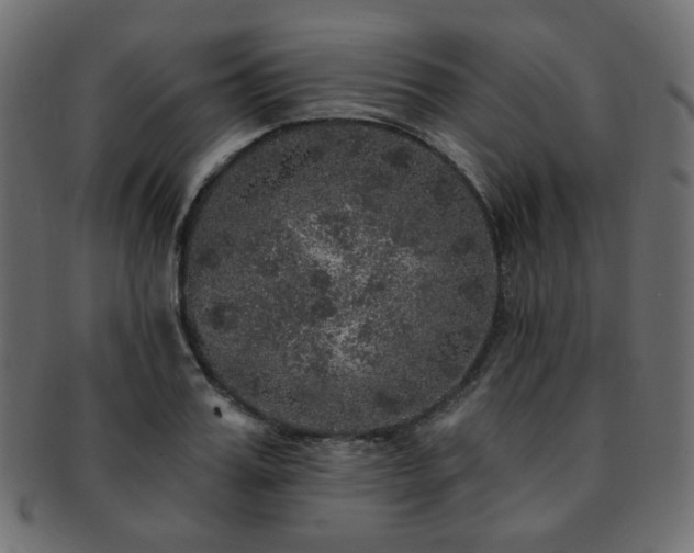 X0000093130987200709261344