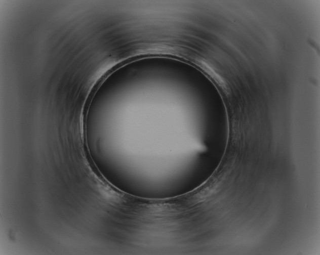 X0000093130988200709261344