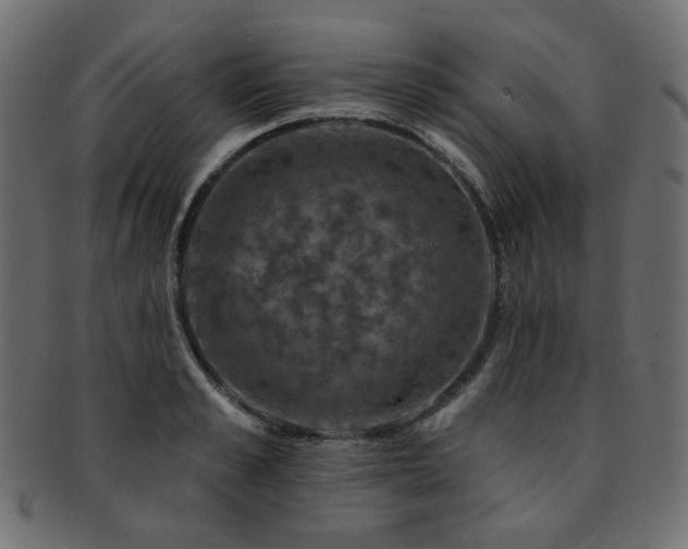 X0000093130989200709261344