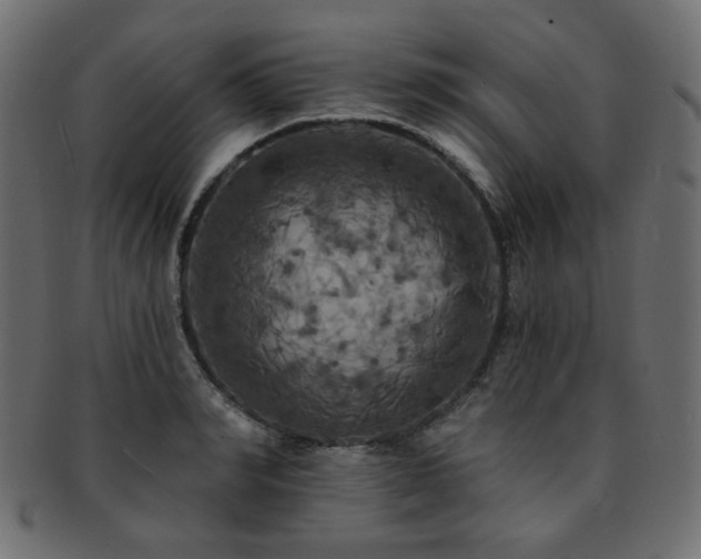 X0000093130990200709261344