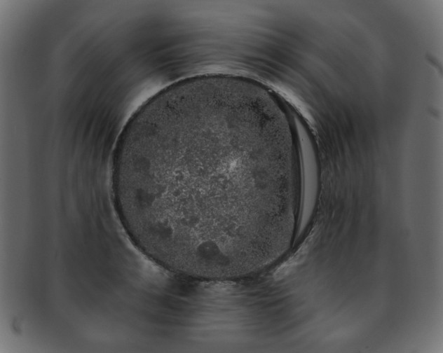 X0000093130991200709261344