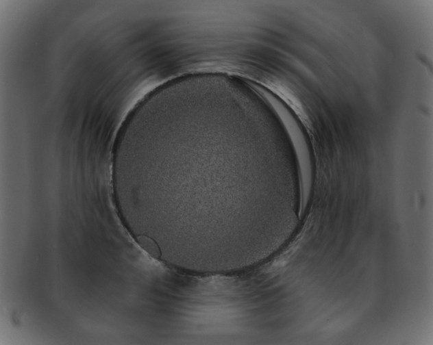 X0000093130992200709261344
