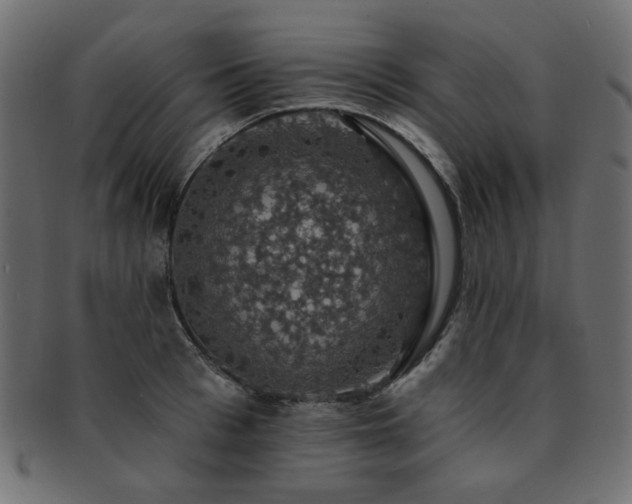 X0000093130993200709261344