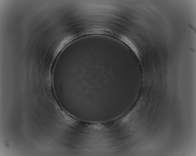 X0000093130994200709261344