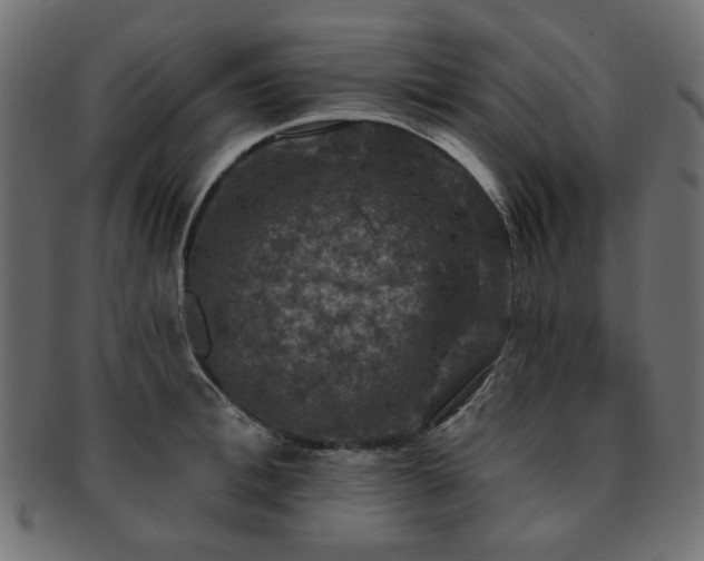 X0000093130996200709261344