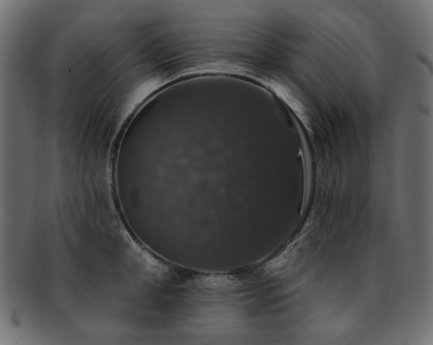 X0000093130998200709261344