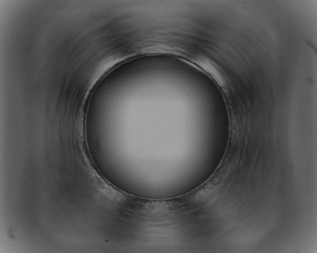 X0000093131000200709261344