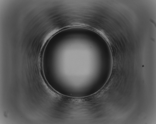 X0000093131003200709261344
