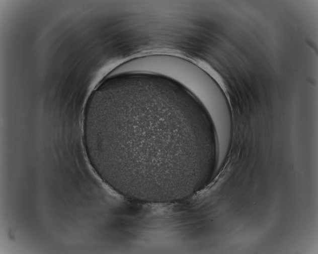 X0000093131005200709261344