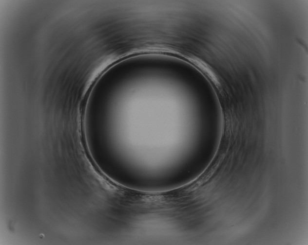 X0000093131006200709261344