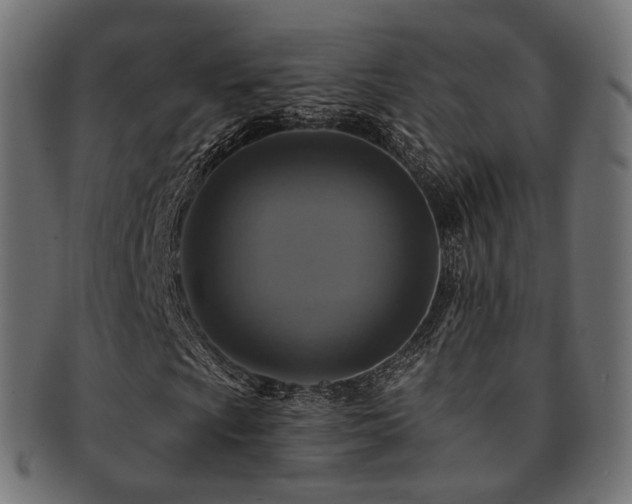 X0000093131009200709261343