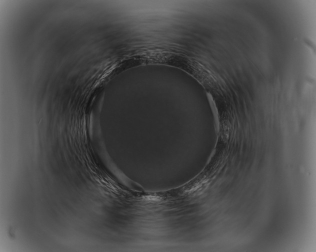 X0000093131010200709261343