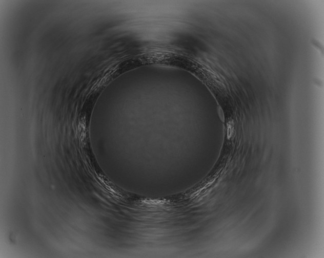 X0000093131011200709261343