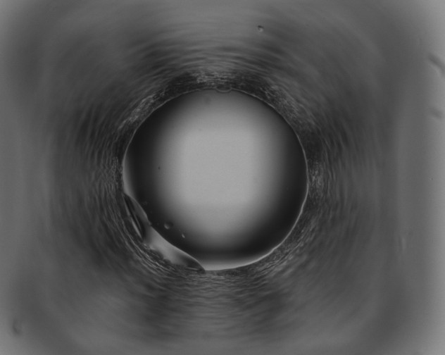 X0000093131012200709261343