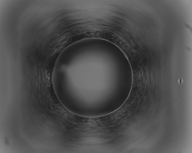 X0000093131013200709261343