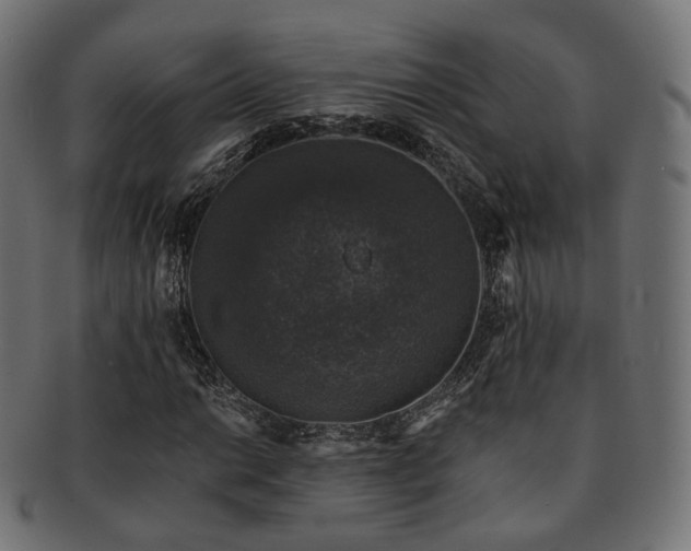 X0000093131014200709261343