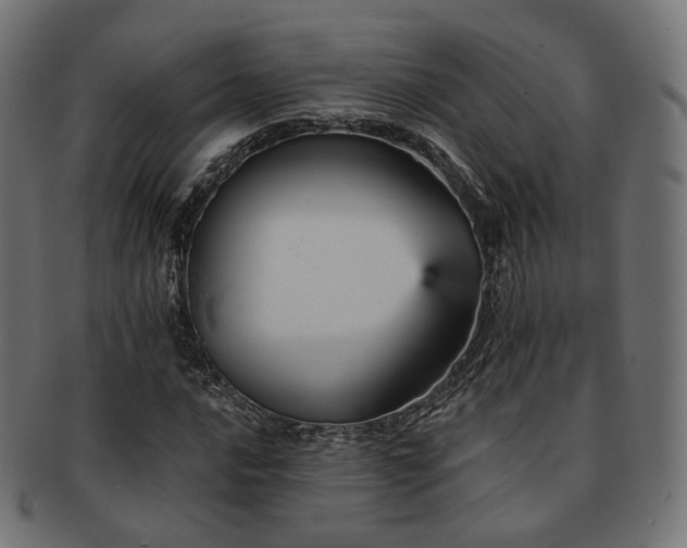 X0000093131016200709261343