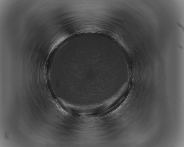 X0000093131018200709261343