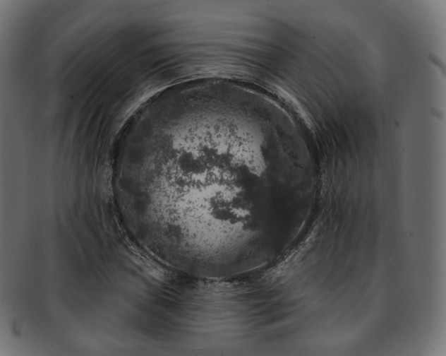 X0000093131019200709261343