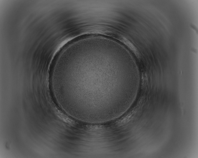 X0000093131020200709261343