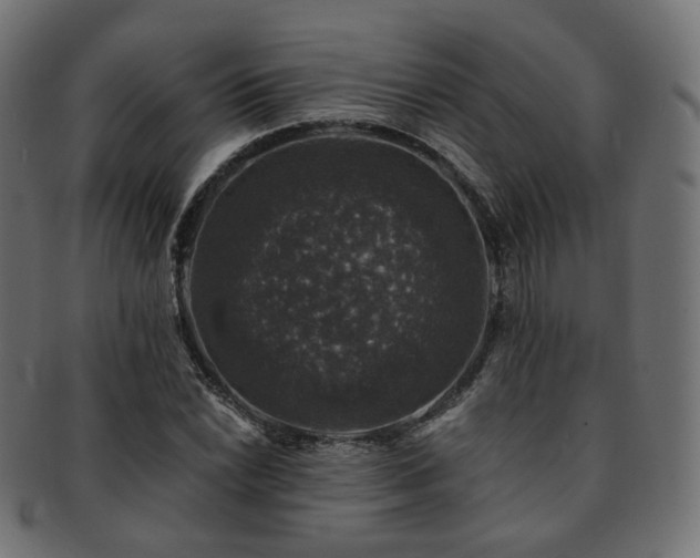 X0000093131022200709261343