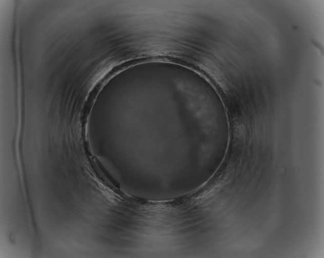 X0000093131023200709261343