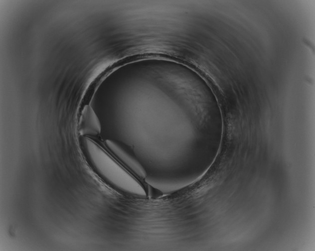 X0000093131024200709261343