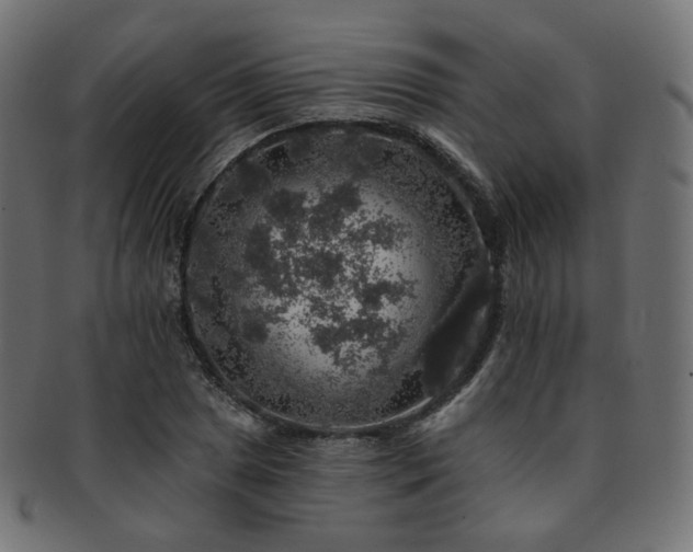 X0000093131025200709261343
