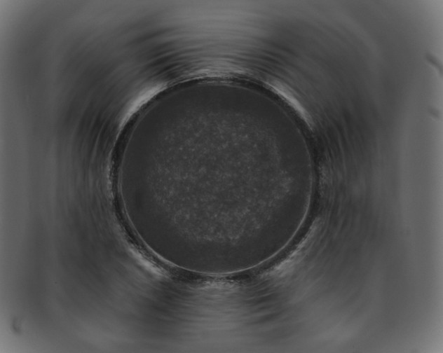 X0000093131026200709261343