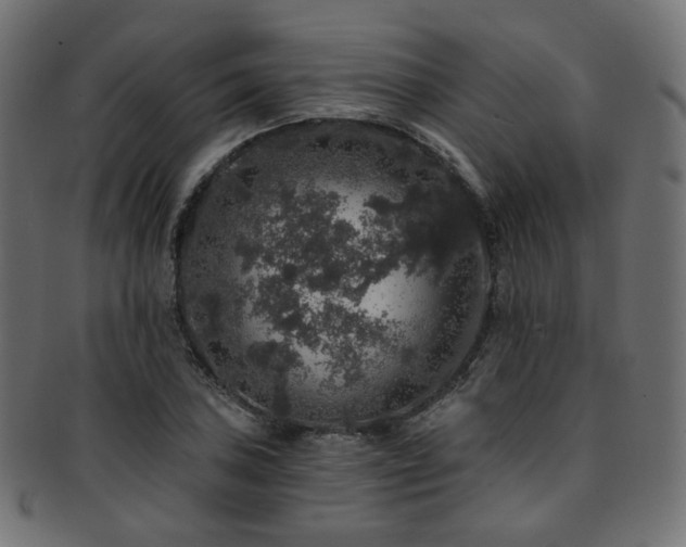 X0000093131027200709261343