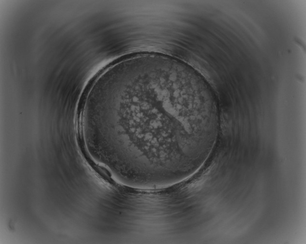 X0000093131028200709261344