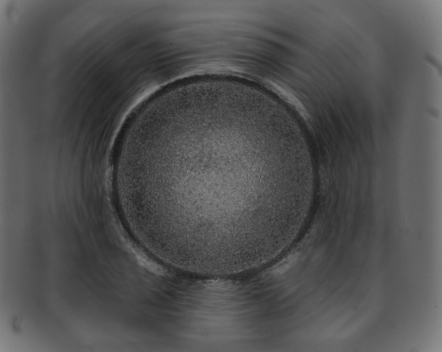X0000093131029200709261344