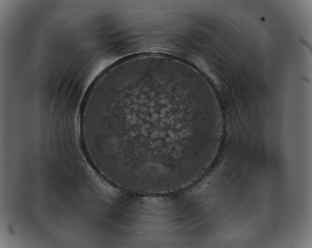 X0000093131032200709261344