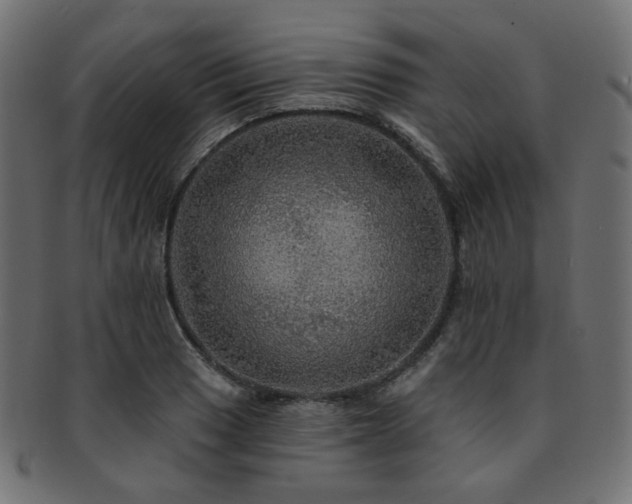 X0000093131033200709261344