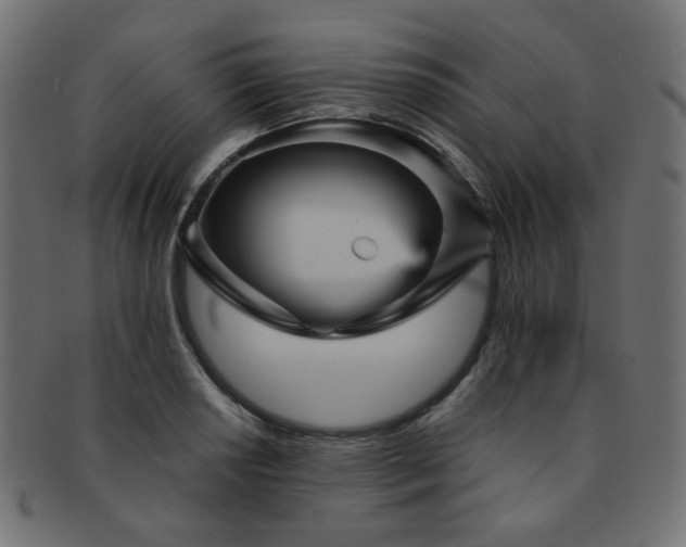 X0000093131034200709261344