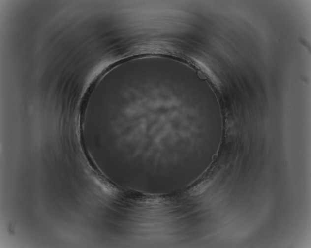 X0000093131035200709261344