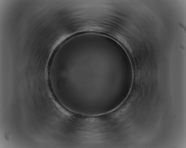 X0000093131037200709261344