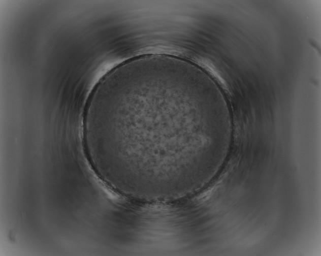X0000093131040200709261344