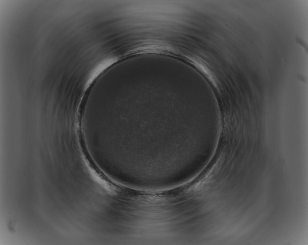 X0000093131042200709261344