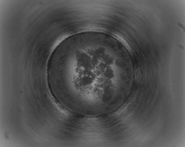 X0000093131043200709261344